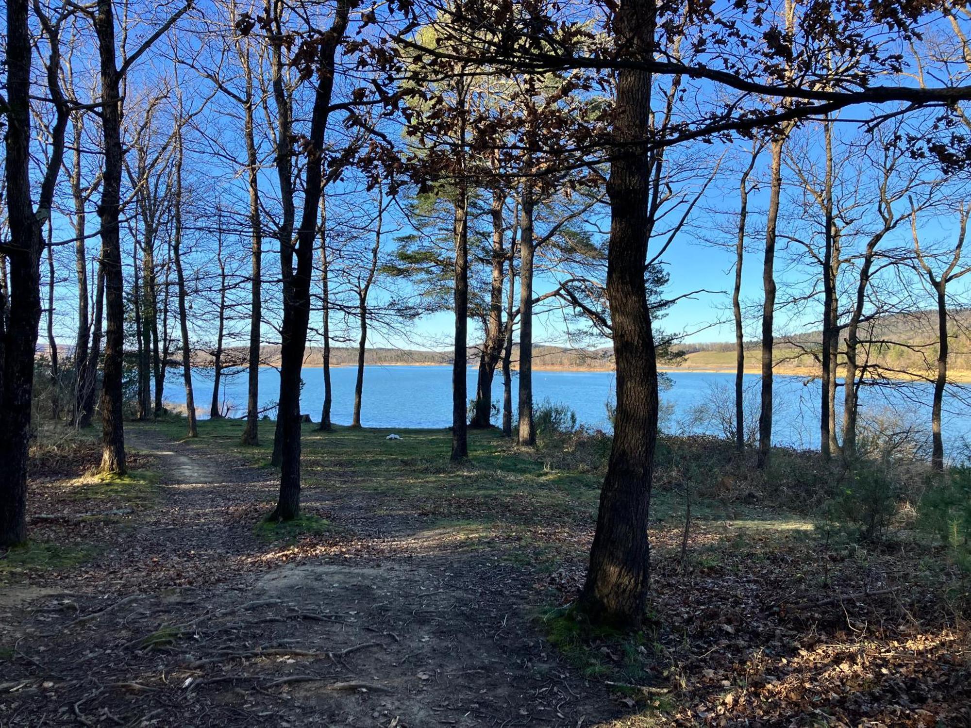 Maison Avec Vue Sur Le Lac De Montbel Exterior foto